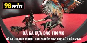 Đá Gà Cựa Dao Thomo - Trải Nghiệm Kịch Tính Số 1 Năm 2026