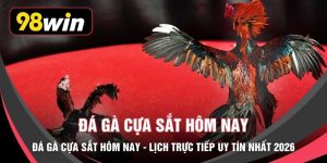 Đá Gà Cựa Sắt Hôm Nay - Lịch Trực Tiếp Uy Tín Nhất 2026