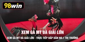 Xem Gà Mỹ Đá Giải Lớn - Trực Tiếp Hấp Dẫn No.1 Thị Trường